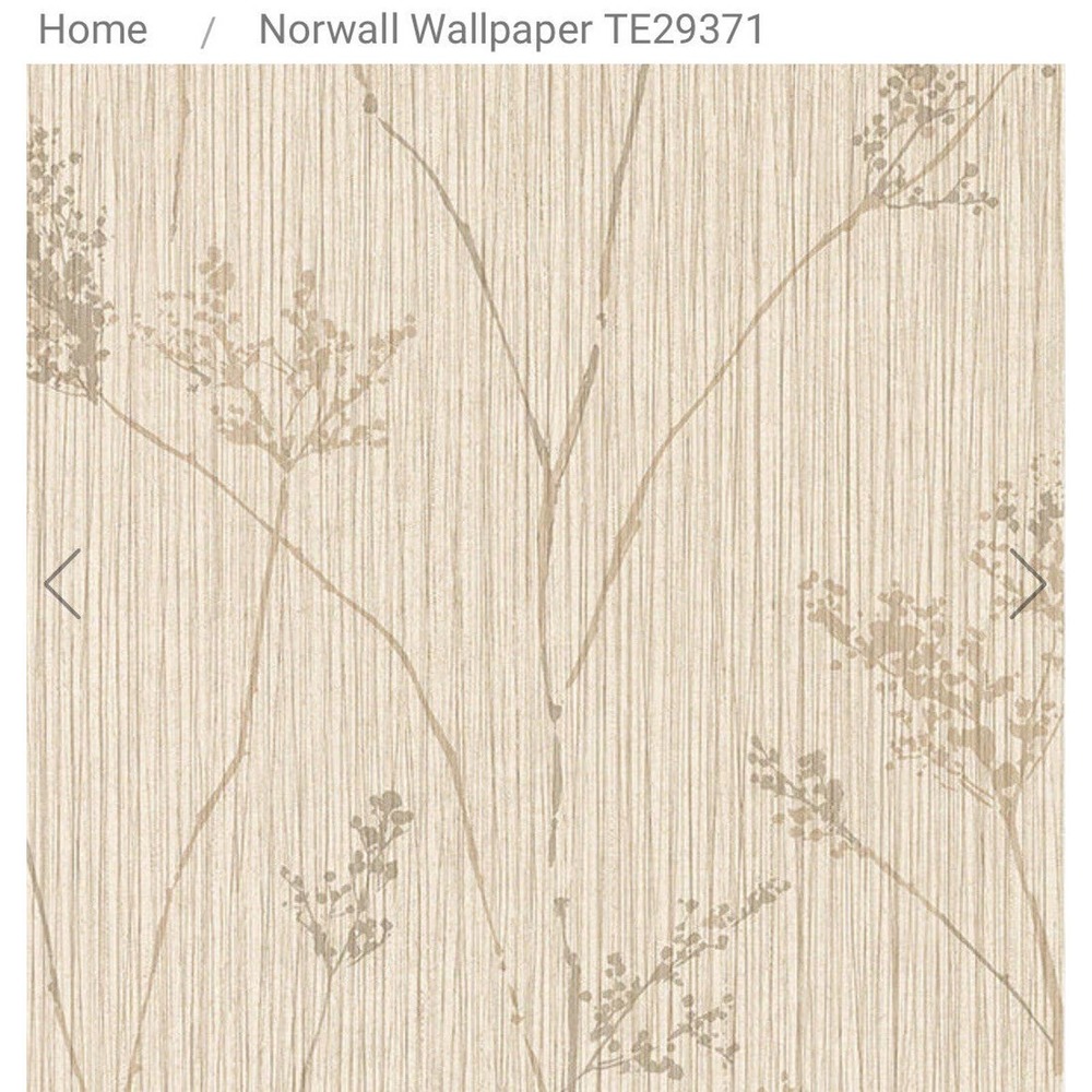 Norwall Wallcoverings TE29371‎ Texture Style 2 Cow Parsley Wallpaper Cream